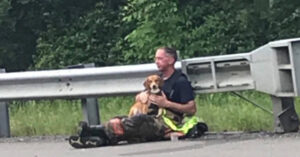 Brandweerman zorgt voor hond van man die een ongeluk heeft gehad