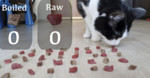 Deze hongerige kat krijgt gekookt en rauw vlees opgediend…