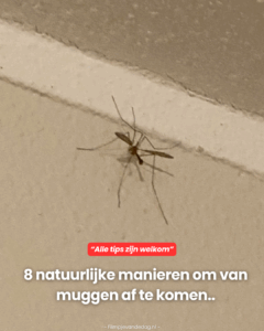 Handige tips!