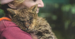 Kat die niemand wil aanraken vindt eindelijk iemand die hem wél wil omhelzen!