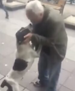 Drie jaar lang zwerft een hond op straat. Tot hij ineens een stem hoort die hij herkent.