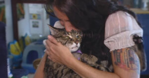 Oppasgezin wil hun kat laten inslapen…