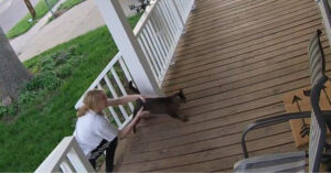 Brutaal meisje loopt naar de veranda om deze kat te ontvoeren…