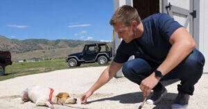 Deze hond is zo bang dat hij nog nooit met z’n staart heeft gekwispeld