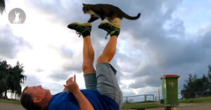 Maak kennis met Didga: de meest getalenteerde kat van de wereld…