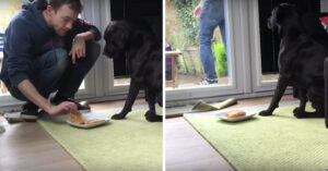 Ultieme test: man legt favoriete broodje op de grond, maar zegt dat de hond niet mag eten!