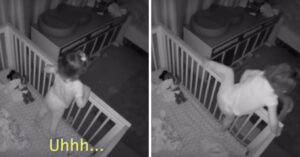 Schattig: klein meisje vraagt haar ‘grote broer’ of ze haar uit bed kan helpen…