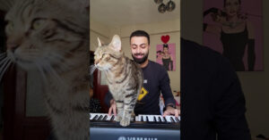 Deze jongeman speelt piano en dat doet ‘ie naar behoren!