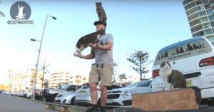 Man doet na 8 maanden oefenen geweldig trucje met zijn 3 katten!