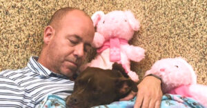 Vrijwilliger gaat in dierenasiel wonen zodat deze pitbull een liefdevol huis vindt…