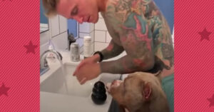 Na-aper: grappige pitbull doet alles wat z’n ‘broer’ ook doet