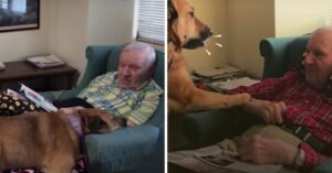 Waar deze man met Alzheimer dol op is? Op de bezoekjes van zijn favoriete hond!