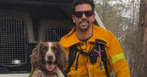 Dit is Taylor: een speurhond die al heel veel koala’s in Australië heeft gered!