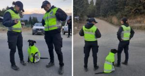 In Argentinië is een complete lockdown. Daarom doen deze agenten een patrouille