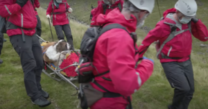 Rollen een keer omgedraaid: Sint-Bernard wordt van berg gered