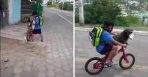 Jongen doet mondkapje op bij z’n hond om daarna samen op de fiets te stappen