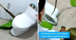 Familie in Thailand krijgt de schrik van hun leven als ze zien wat er in de wc pot zit..