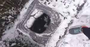 Katje wordt tijdens ijskoude nacht in mandje op straat in Vilvoorde gedumpt