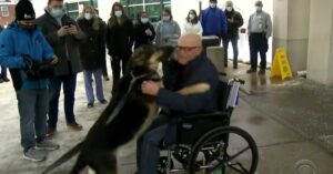 Niemand wilde deze hond adopteren. Dan redt ze het leven van haar nieuwe baasje