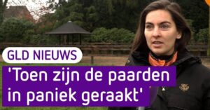 Paard in Ede overlijdt door angst vuurwerk: “Geen andere optie dan in laten slapen”