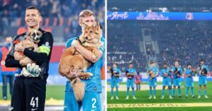 Spelers voetbalclub uit Rusland lopen het veld op met adoptiehonden..