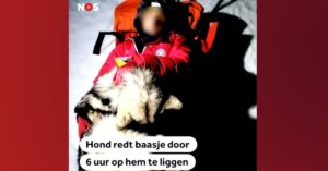 Trouwe hond redt baasje tijdens vrieskou door 6 uur lang om hem te liggen