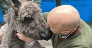 Baby-ezel lijkt ervan overtuigd dat deze lieve man haar “papa en mama ineen” is