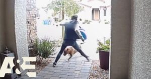 Dappere koerier redt eigenaar en hond van een aanval door een agressieve zwerfhond..