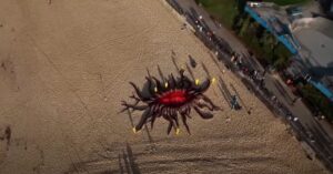 Strandgangers schrikken zich te pletter: gigantisch monster aangespoeld