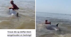 “Debiel” die in Zandvoort bovenop een dolfijn in nood klimt, meldt zich bij de politie..