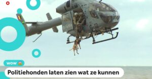 Politiehond wordt gedropt uit helikopter voor indrukwekkende oefening…