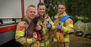 Brandweer in Arnhem redt hondje Maya uit konijnenhol..