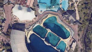 VIDEO: Dronebeelden tonen hartverscheurende situatie van opgesloten orka’s in vervallen waterpark