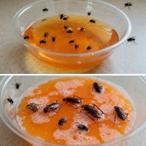 Met dit huismiddeltje verdwijnen insecten binnen 5 minuten!