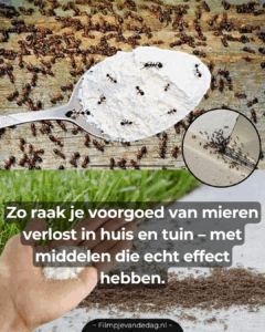Het werkt goed!