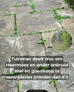 Super handig!