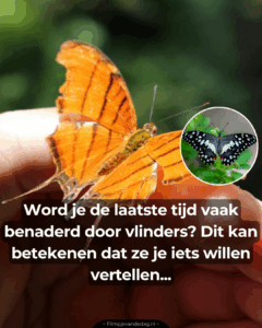 Heel bijzonder..