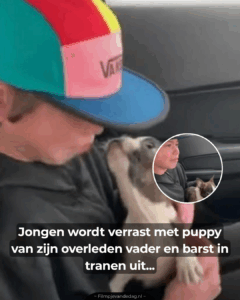 Ontroerende beelden..