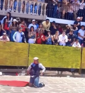 Spaanse matador wil indruk maken op het publiek en keert zijn rug naar de stier…