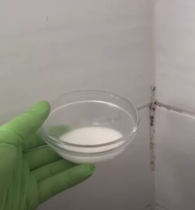 VIDEO: Schimmel op de kitrand in de douche verdwijnt met deze aanpak in een paar minuten.