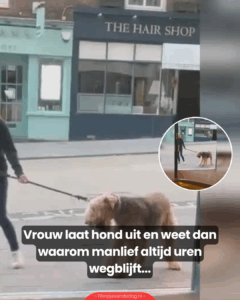 Vrouw laat hond uit en weet dan waarom manlief altijd uren wegblijft…