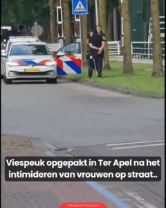Viespeuk opgepakt in Ter Apel na het intimideren van vrouwen op straat..