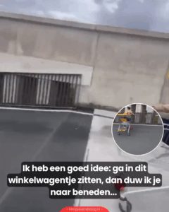 Ik heb een goed idee: ga in dit winkelwagentje zitten, dan duw ik je naar beneden…