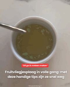 Fruitvliegjesplaag in volle gang: met deze handige tips zijn ze snel weg