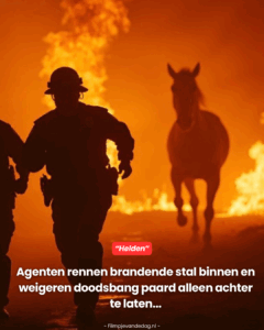 Hartverscheurende beelden..