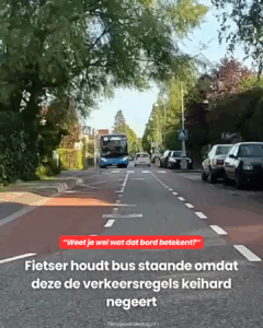 Fietser is woedend en houdt de buschauffeur staande..