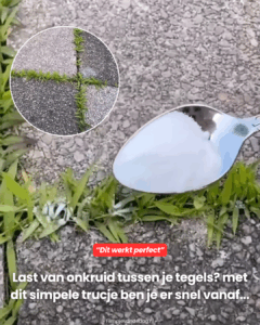 Met dit simpele trucje ben je er snel vanaf