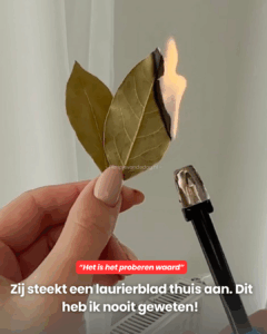 Dit heb ik nooit geweten..