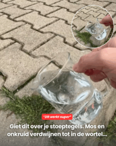 Giet dit over je stoeptegels..