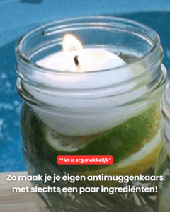 Hoe maak je je eigen anti-muggenkaars met slechts een paar ingrediënten?